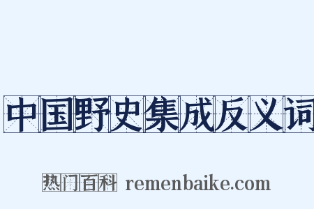 中国野史集成反义词是什么意思的图片